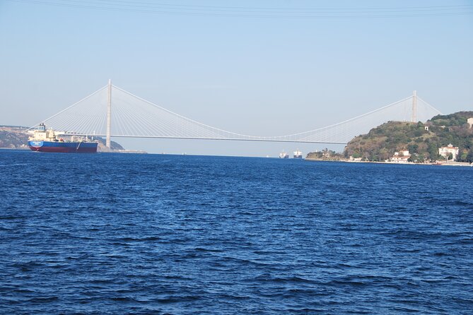 Istanbul: Bosphorus Tour With Whirling Dervish Show - Who This Bosphorus Cruise Fits Best (and Who Should Skip)