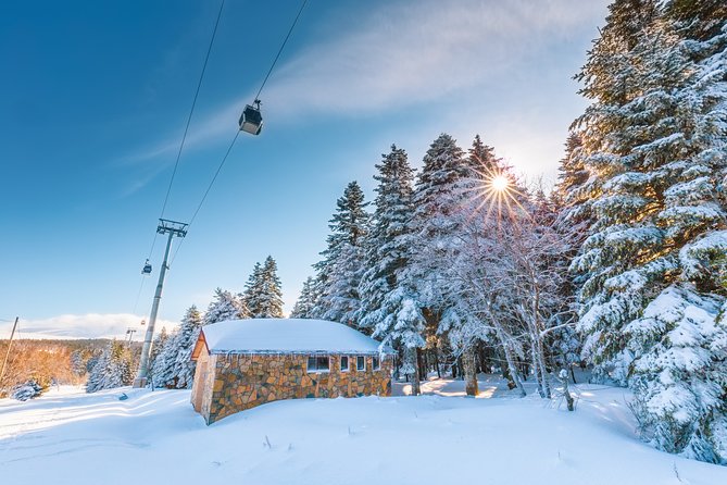 Istanbul: Bursa and Uludag Mountain Day Trip with Cable Car - Price and value: what $66.52 really buys you