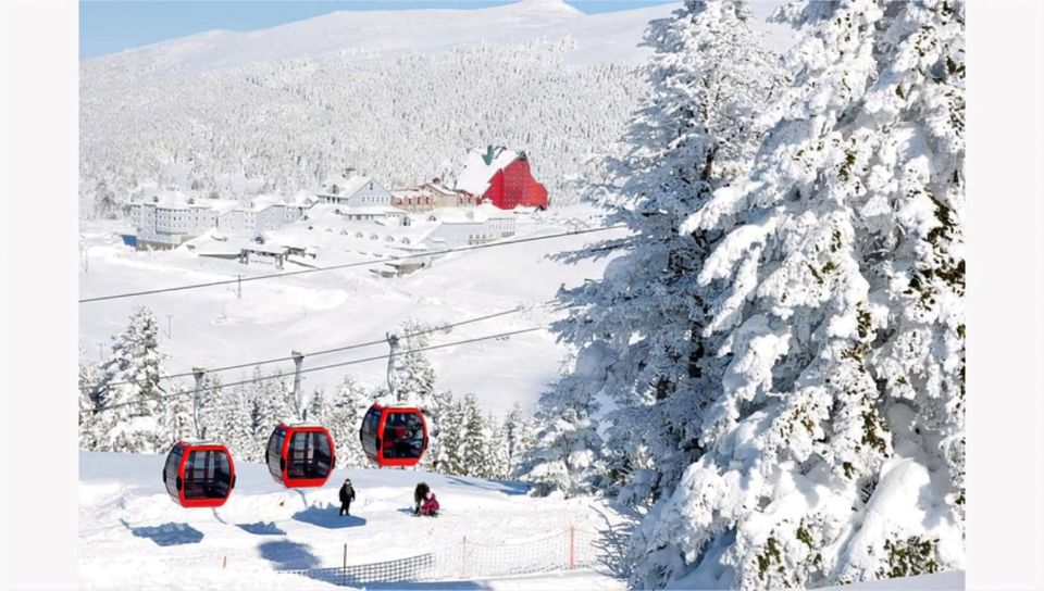 Istanbul: Bursa & Uludag Mountain Day Trip w/ Opt. Cable Car - The Cable Car Descent: The Part You’ll Remember