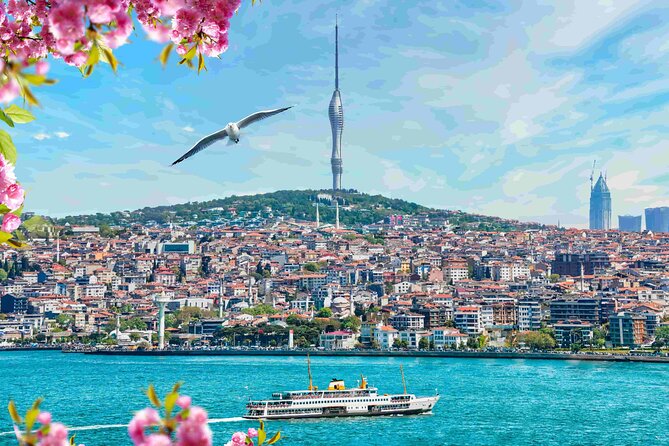 Istanbul Camlica Tower: Private Entry, Transfer & Dine Choices - Price and value: what the $38.62 covers (and what it doesn’t)