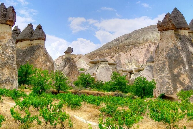 Istanbul & Cappadocia Trip Including Balloon Tour & ATV Quad Tour - Day 2: Priene, Didyma Apollo, and Miletus on the Aegean circuit