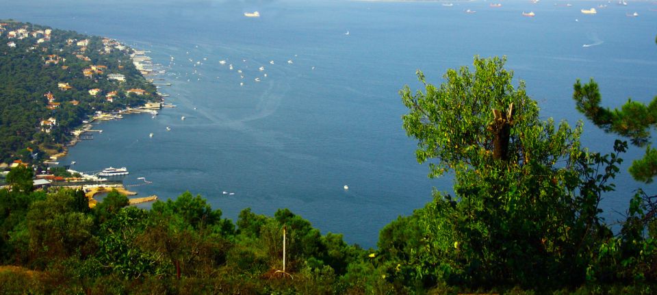 Istanbul: Day Trip to the Princes' Islands - Key Points at a Glance