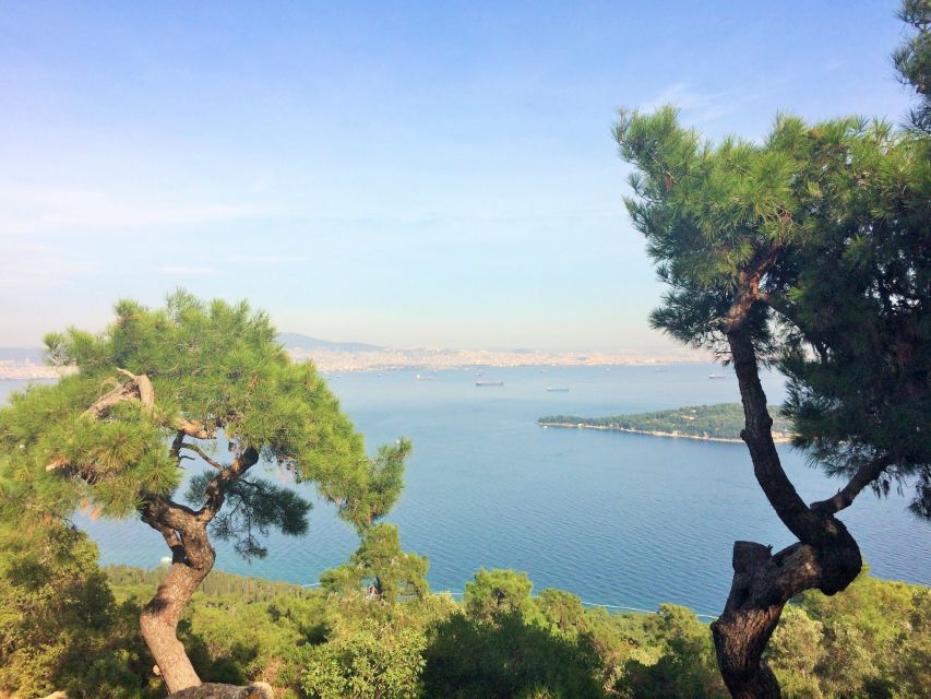 Istanbul: Day Trip to the Princes' Islands - Princes’ Islands in Six Hours: What This Day Trip Really Means