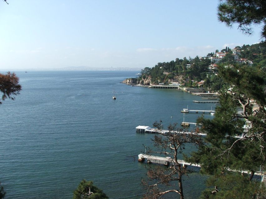 Istanbul: Day Trip to the Princes' Islands - Büyükada Walking Tour: Bay Views and Flower-Covered Cottages