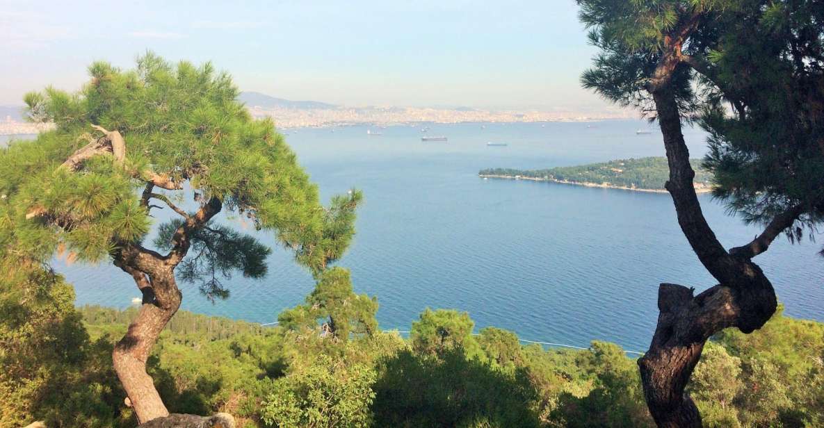 Istanbul: Day Trip to the Princes' Islands - Crossing the Marmara Sea: The Cruise Part You’ll Feel