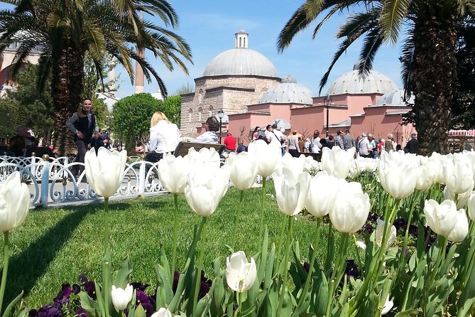 Istanbul Delights: A Journey Through Flavor and History - Where You Meet: Basilica Cistern to Grand Bazaar