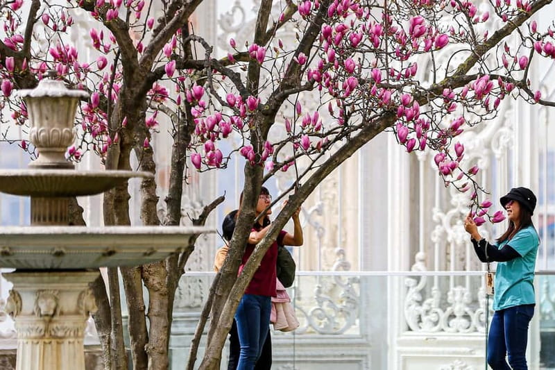 Istanbul: Dolmabahce Palace and Harem Fast-Track & Audio - Should you book this Dolmabahce Palace + Harem fast-track?