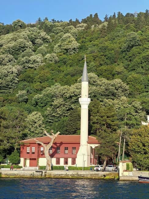 Istanbul: Explore 2 Continents of Bosphorus in One Day Lunch - Price and logistics: does $59 feel fair for 9 hours?