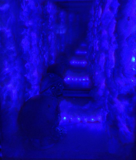 İstanbul: Frankenstein House of Horror, Escape Room Game - Puzzle-solving pressure: clues, passwords, and the English instruction issue