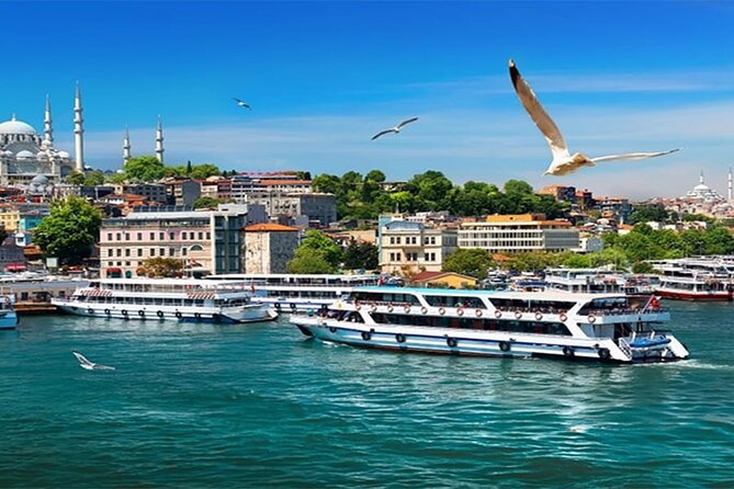 Istanbul Full Day Europe and Asia Sides Tour - Çamlıca Hill: the “get your bearings” moment above the Bosphorus