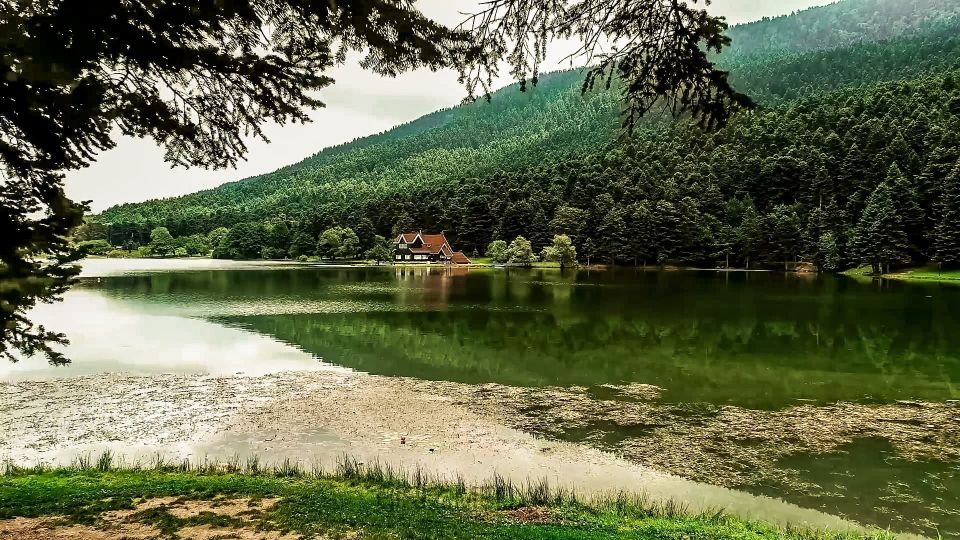 Istanbul: Full-Day Sapanca Lake and Masukiye Tour with Lunch - Sapanca Honey and Turkish Delight: A Local Stop That Actually Matters