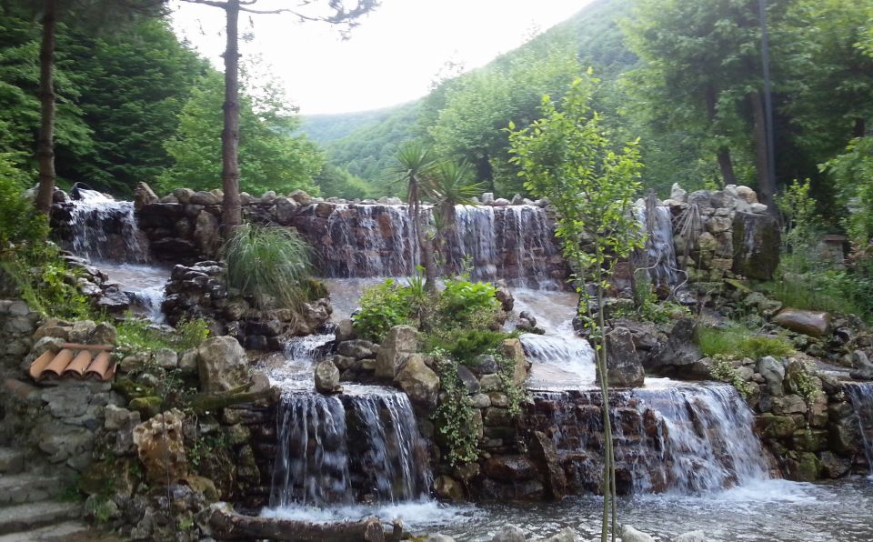Istanbul: Full-Day Sapanca Lake and Masukiye Tour with Lunch - Masukiye Countryside Time: Forest Views and Optional Park Activities