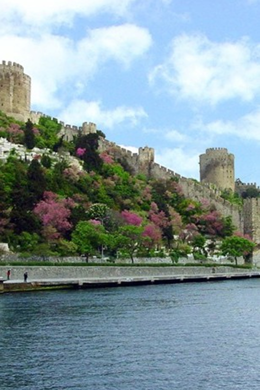 Istanbul Half-Day Tour and Bosphorus Cruise - Key things that make this tour worth your time