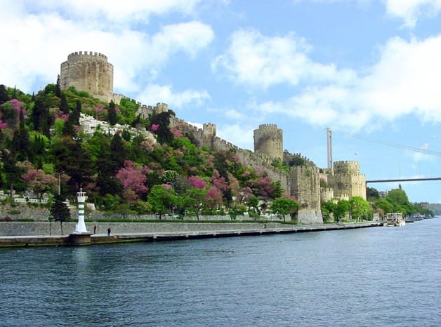 Istanbul Half-Day Tour and Bosphorus Cruise - Price and What Your $112 Covers
