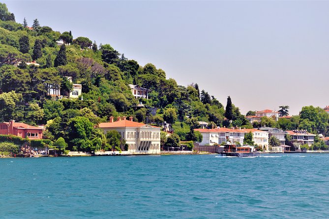 Istanbul Lunch Cruise on Bosphorus and Black Sea - Lunch aboard: mezes, seating, and what to expect
