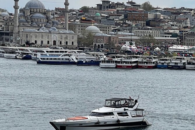 Istanbul: Luxury Private Yacht Cruise on the Bosphorus - Best-Fit Travelers for This Bosphorus Yacht Cruise