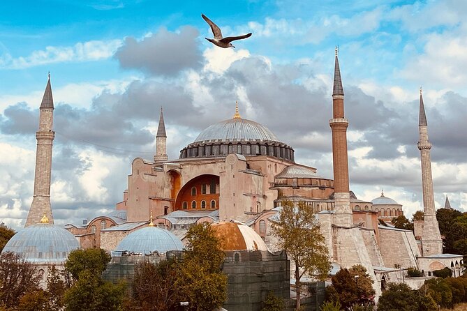 Istanbul Morning Old Town Tour or Afternoon with Bosphorus Cruise - Key Highlights at a Glance
