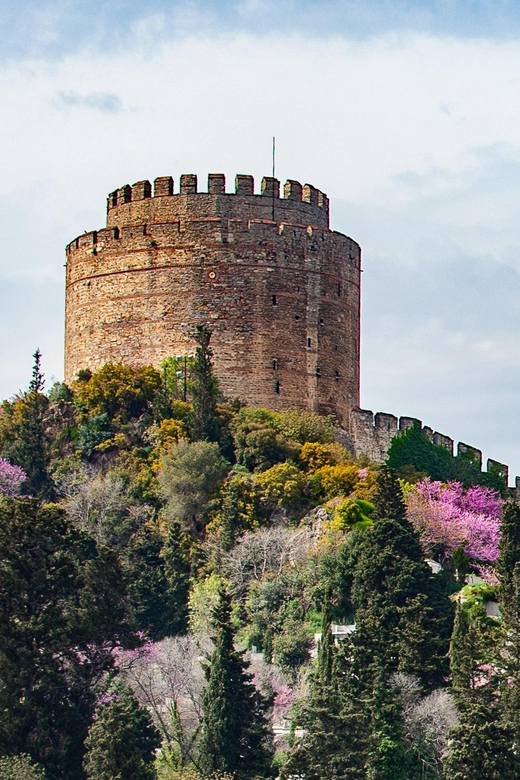 Istanbul: Morning or Sunset Cruise with Guide and Snacks - The Bosphorus loop: what you’ll see and how the guide connects it