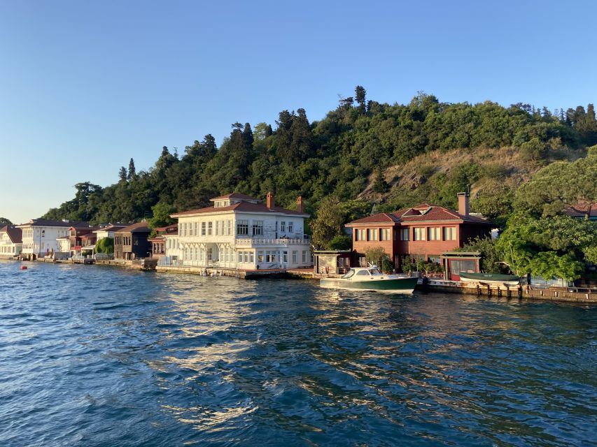Istanbul: Old Town Highlights Tour & Bosphorus Cruise - Should you book this tour?
