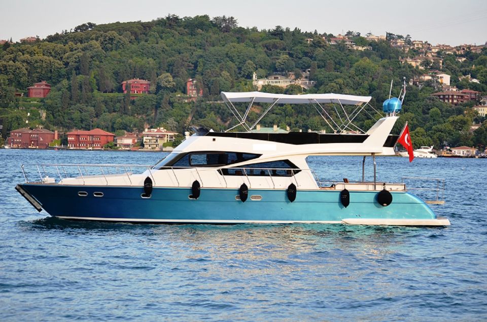 Istanbul: Old Town Tour and Bosphorus Lunch Cruise - Who should book this tour, and who might skip it