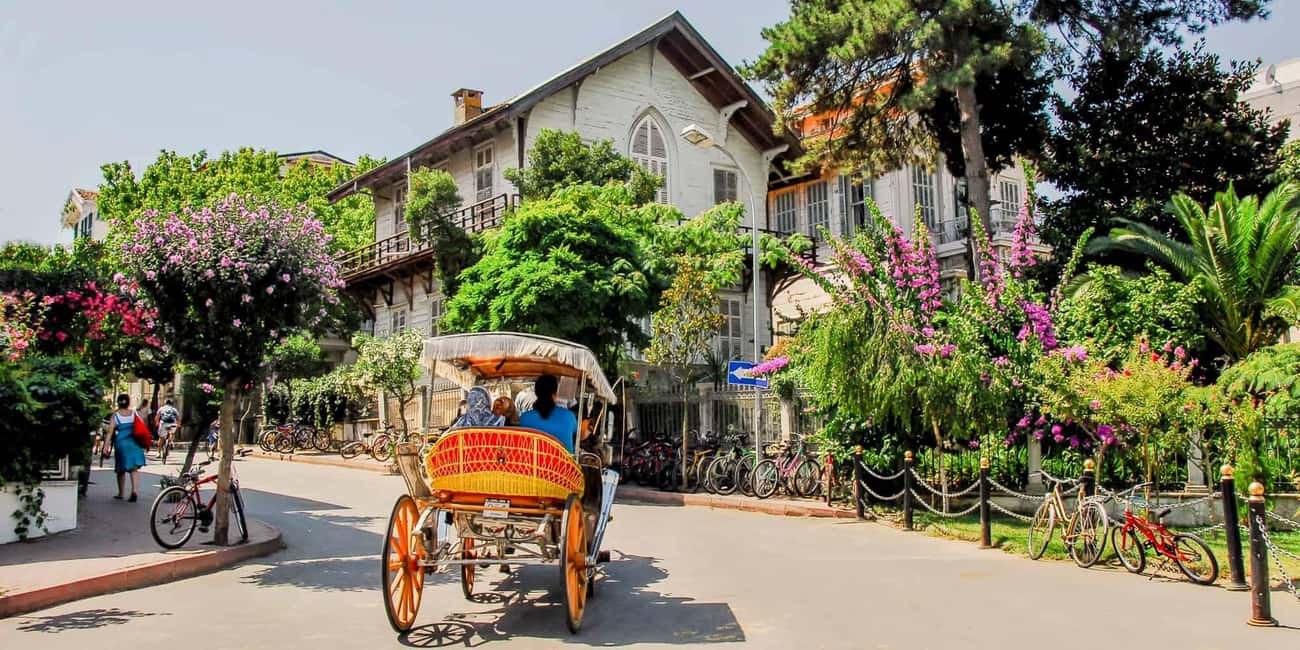 Istanbul Prince Island Cruise with Lunch & Free Time - Why the Princes’ Islands feel like a reset from Istanbul