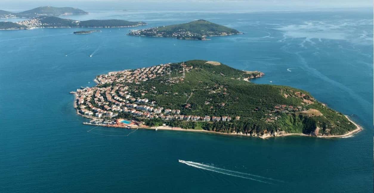 Istanbul Prince Island Cruise with Lunch & Free Time - Büyükada free time: bikes, wandering, and island energy