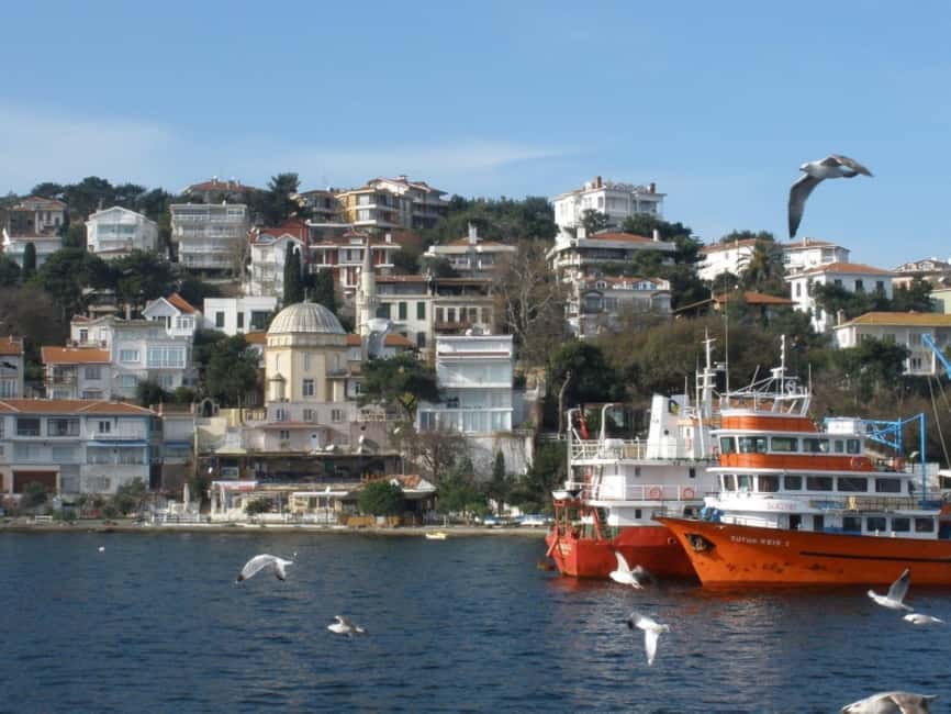 Istanbul Prince Island Cruise with Lunch & Free Time - Timing and meeting: Cibaliport at 10:00, back by 17:00