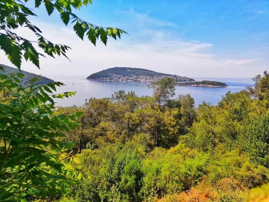 Istanbul: Prince islands Tour w/ Lunch and transfer options - Buffet Lunch on Board vs. Lunch in Town