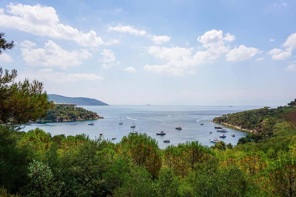Istanbul: Prince islands Tour w/ Lunch and transfer options - Price and Value: Is $25 a Smart Deal for Istanbul?