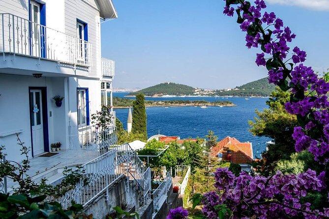 Istanbul Princes Island Tour with Lunch & Hotel Transfer - Price and logistics: what $29.42 is buying you