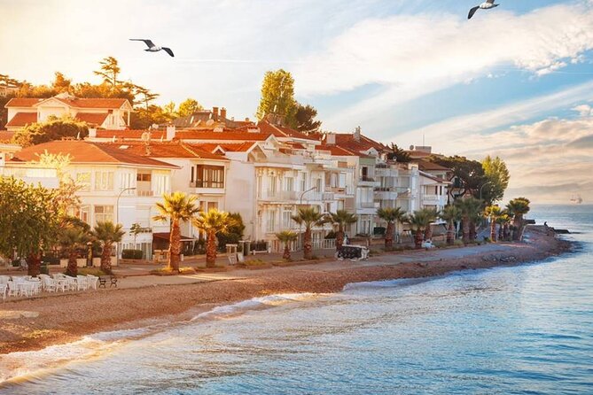 Istanbul Princes Island Tour with Lunch & Hotel Transfer - Boarding the ferry: sea time is the payoff