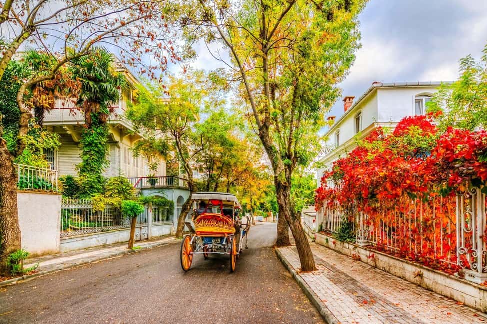Istanbul: Princes' Islands Cruise with Lunch and Guide - Key things to know before you go