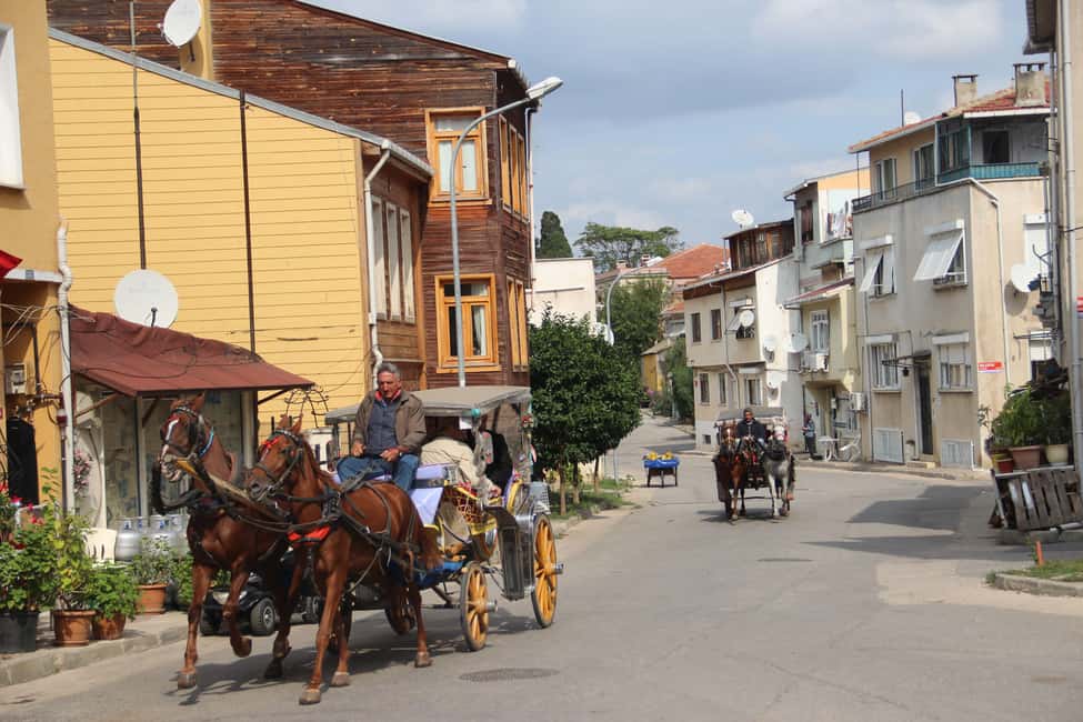 Istanbul: Princes' Islands Cruise with Lunch and Guide - Price and value: why $22 can make sense