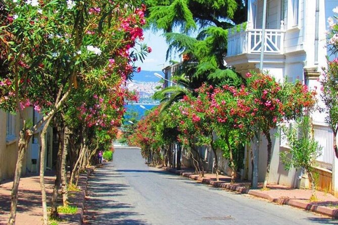 Istanbul: Princes Islands Tour with Heybeliada and Büyükada - Büyükada: the main island that earns its reputation