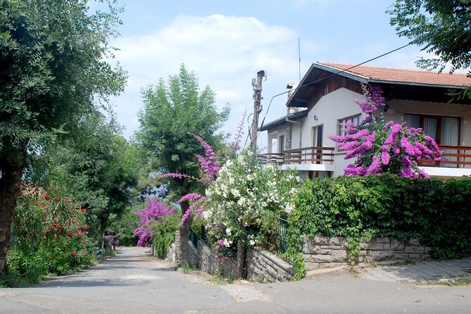 Istanbul: Princes Islands Tour with Heybeliada and Büyükada - Heybeliada: pine hills, historic institutions, and a pier that feeds you