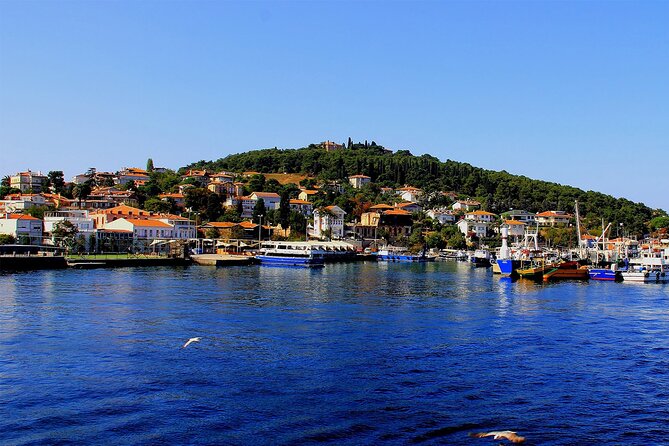 Istanbul: Princes Islands Tour with Heybeliada and Büyükada - Lunch and onboard time: good value, variable quality