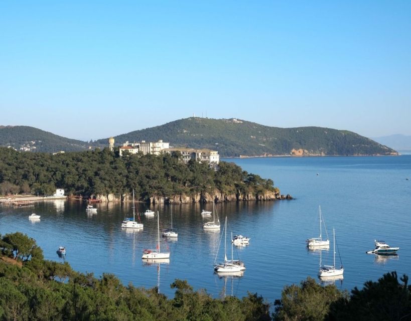 Istanbul: Princes' Islands Tour with Lunch and Transfers - Time, Logistics, and the Leather Goods Fashion Show Detour