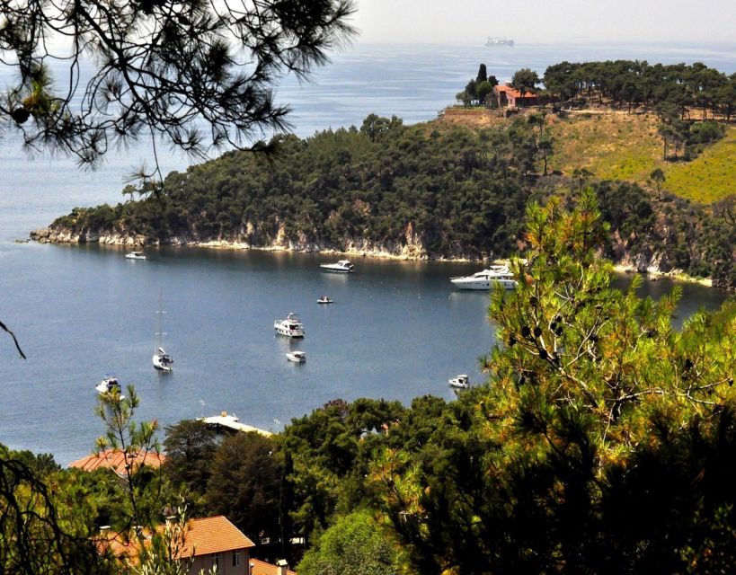 Istanbul: Princes' Islands Tour with Lunch and Transfers - Heybeliada (Kınalıada) Second: Beach Time and a Different Island Mood