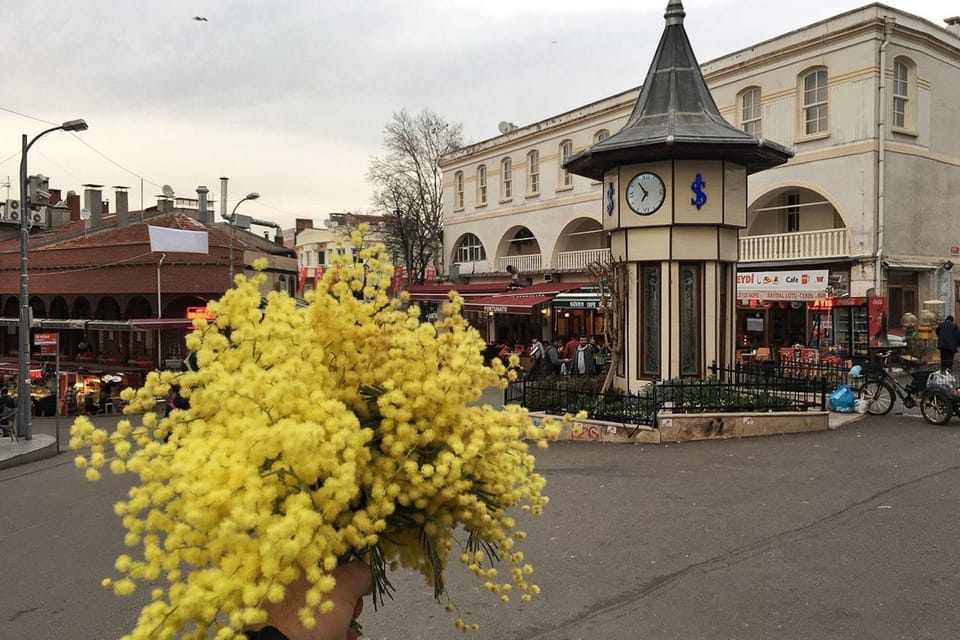 Istanbul: Princes Islands Walking Full-Day Tour - Should you book the Istanbul Princes’ Islands walking tour?