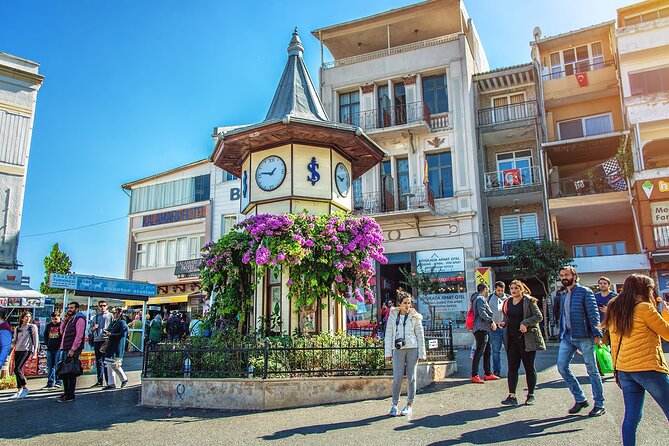 Istanbul Princess Island Tour Include Lunch and Island Car Trip - Büyükada Tabiat Parkı and the Electric Car Ride: Fast Access to Views