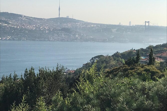 Istanbul Private Airport Transfers - Private Pickup for Up to 7: Better Value Than You Think