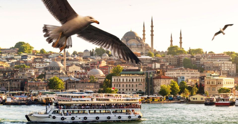 Istanbul: Private Bosphorus Cruise By Luxury Yacht - Bridges, Ships, and Palaces: The Part That Makes People Smile