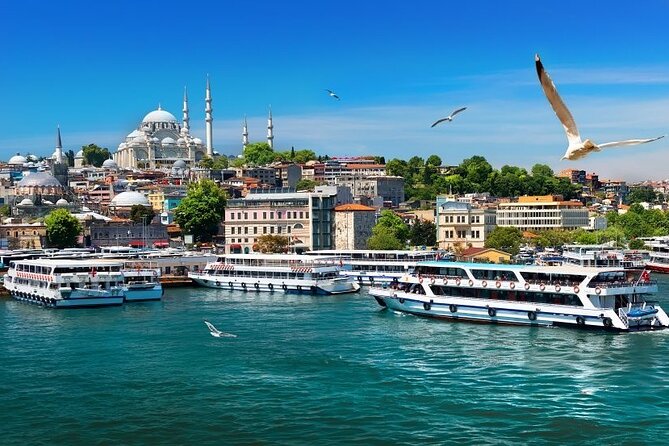 Istanbul Private Tour from Cruise Port - Hagia Sophia Grand Mosque: What You Can See and What You Must Pay For