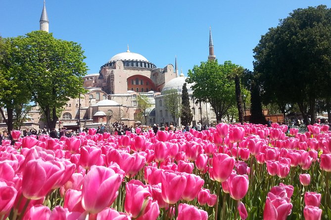 Istanbul Private Tours: 1, 2 or 3 Day Highlights - Grand Bazaar and Spice Market: shopping time with a guide to keep you oriented