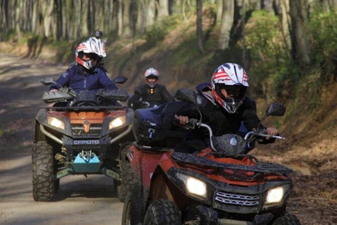 Istanbul Quad Bike Safari with Optional Zipline Experience - Belgrad Forest: The Quick Escape You’ll Actually Feel