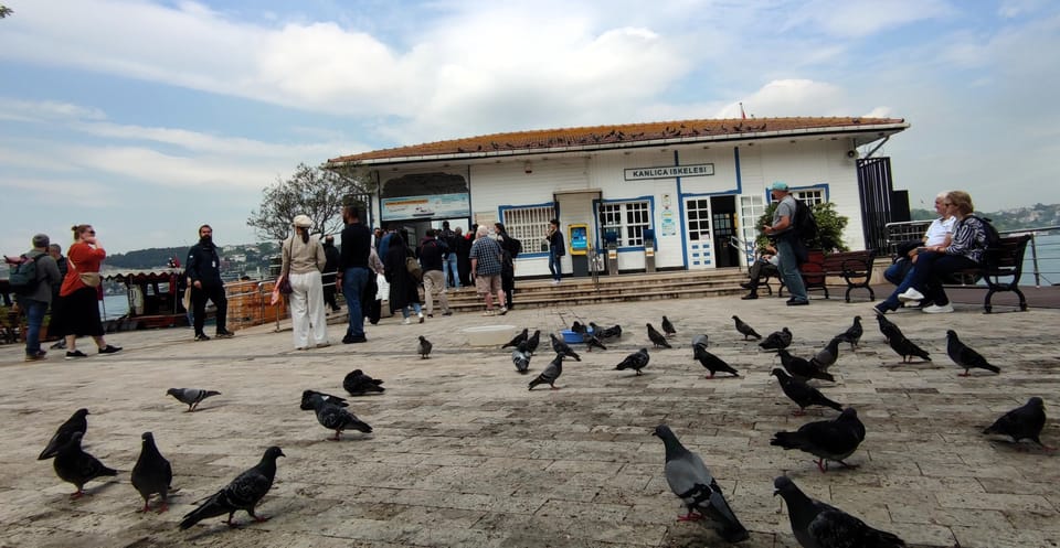 Istanbul Revealed: Historic Pathways and Bosphorus Serenity - What to wear and pack: cobblestones, churches, and camera reality