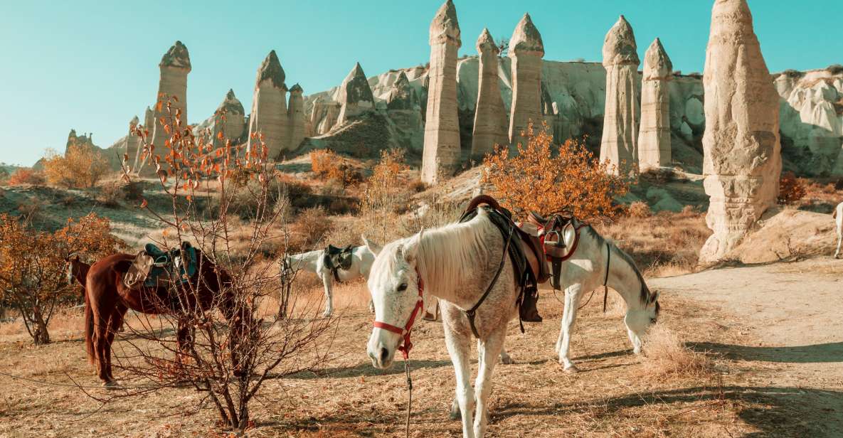 Istanbul to Cappadocia All Inclusive Private Day Tour - The appeal of a one-day Cappadocia hit from Istanbul