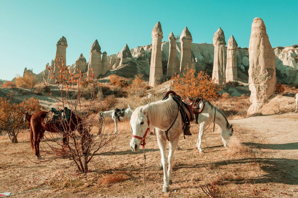 Istanbul to Cappadocia All Inclusive Private Day Tour - Price and logistics: what $608 really buys you