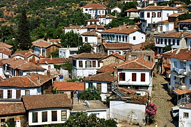 Istanbul to Ephesus Full Day Guided Tour, Flight and Lunch incl. - Ephesus Ancient City: the guided walk that makes the ruins readable