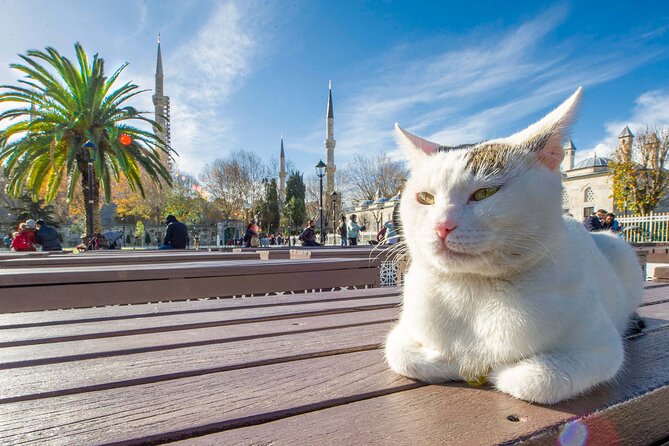 Istanbul Walking Tour with Audioguide on Your Smartphone - Atatürk Monument and the Column of the Goths